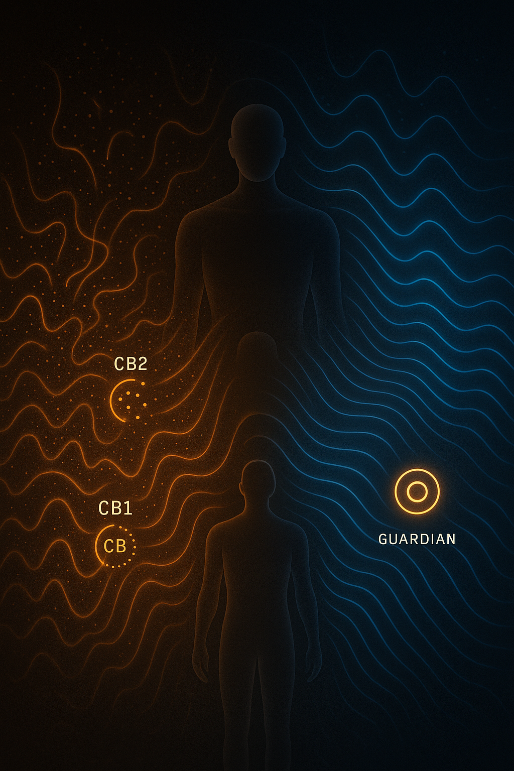 ECS nonlinear oscillatory field visual showing CB1 and CB2 damping around the body.